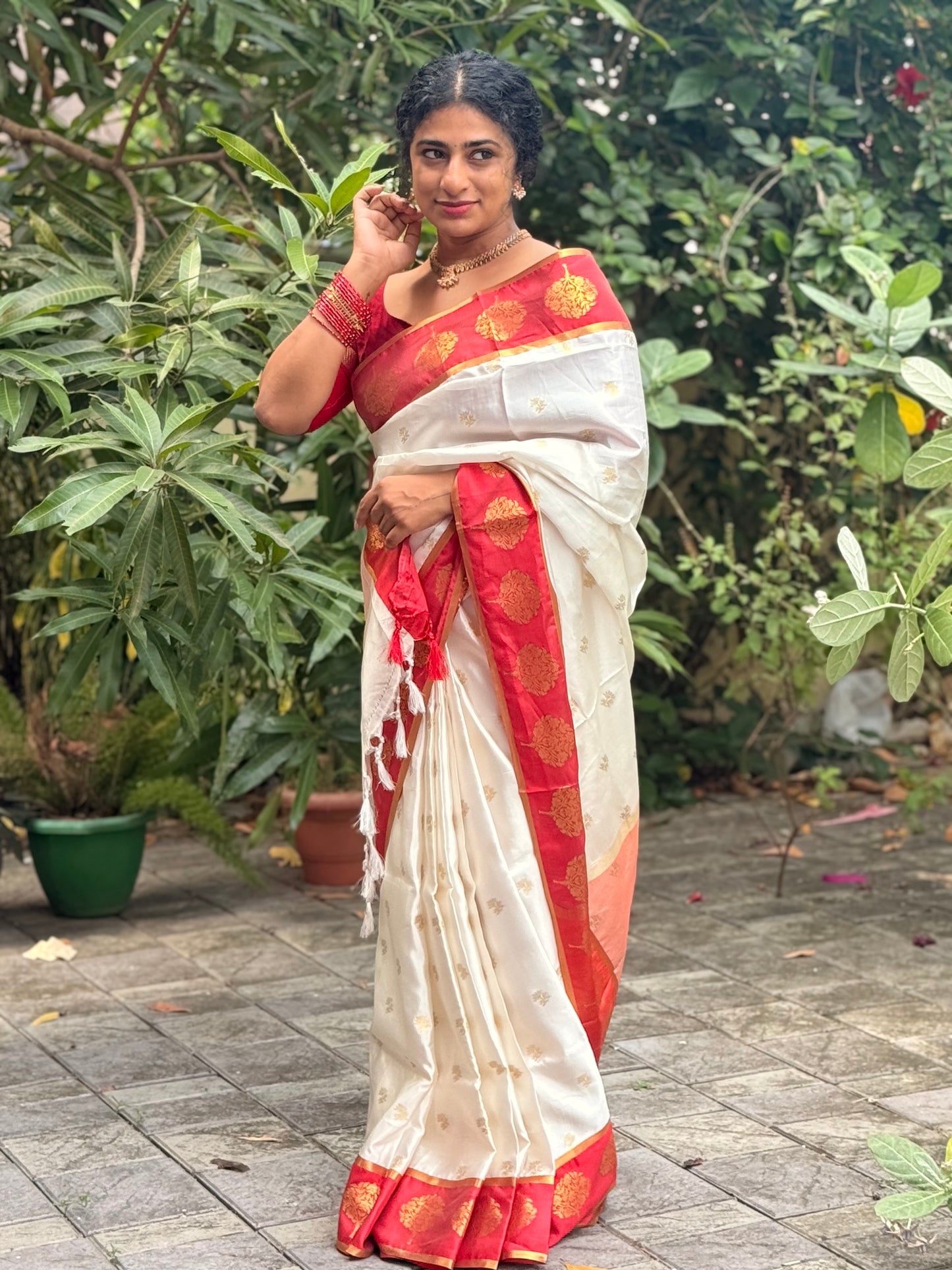 Semi silk Tree border saree