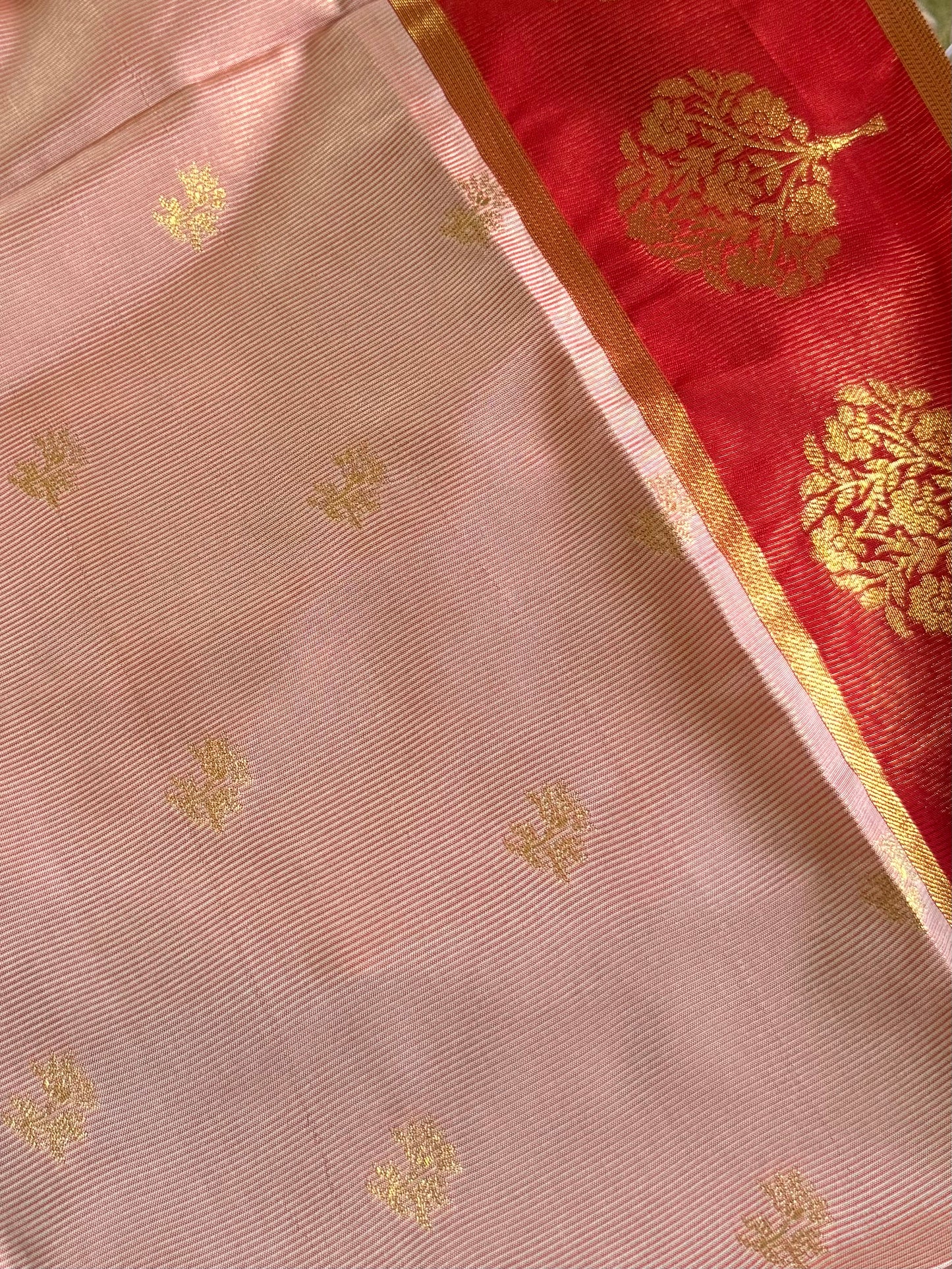 Semi silk Tree border saree