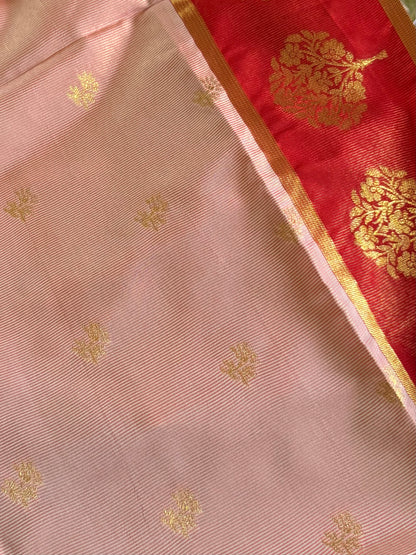 Semi silk Tree border saree