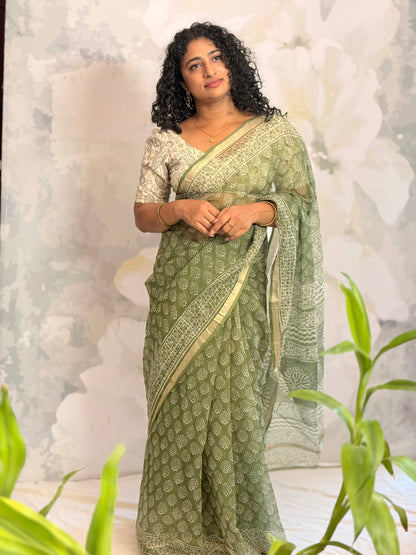 Terra Kota saree