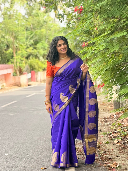 Paisley  saree