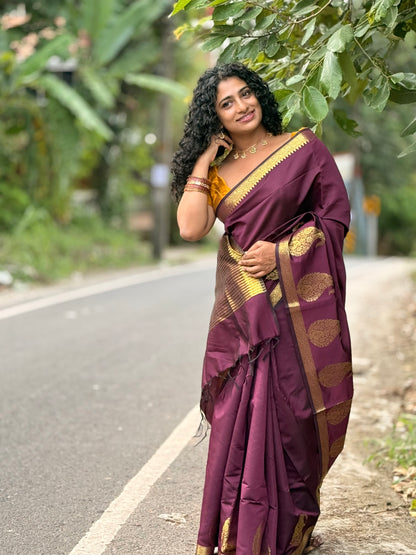 Paisley  saree