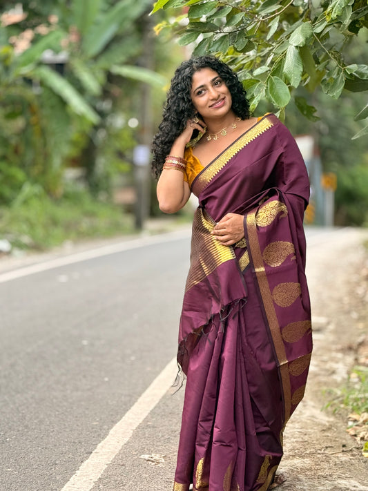 Paisley  saree