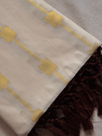 Lotus stripe  Cotton saree