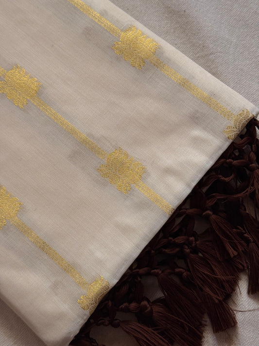 Lotus stripe  Cotton saree