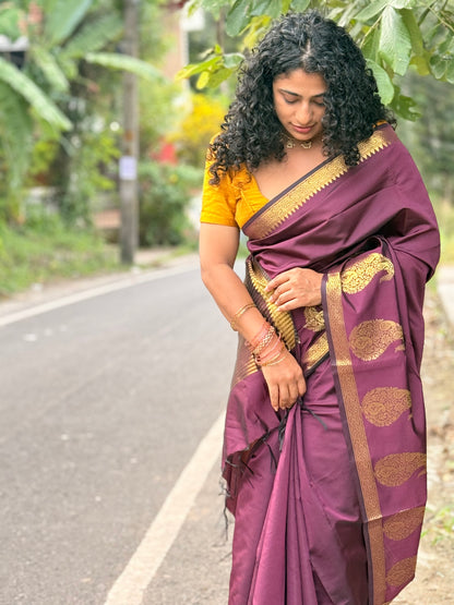 Paisley  saree