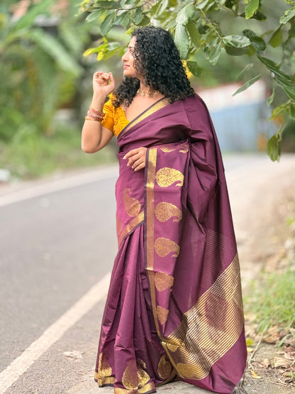 Paisley  saree