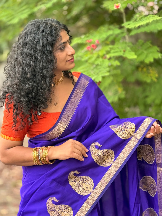 Paisley  saree